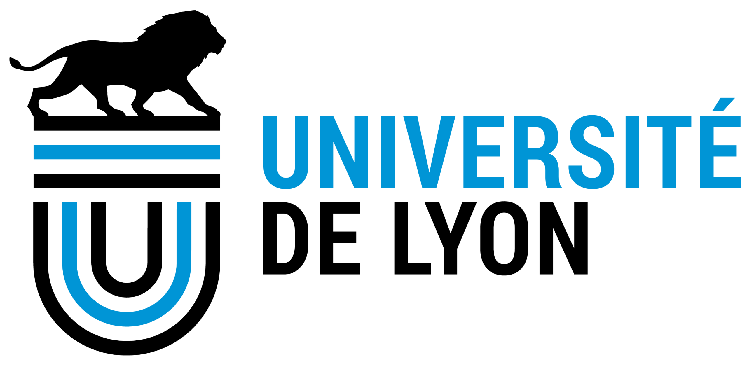 logo université de lyon
