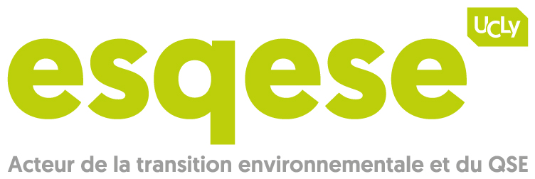 Logo ESQESE