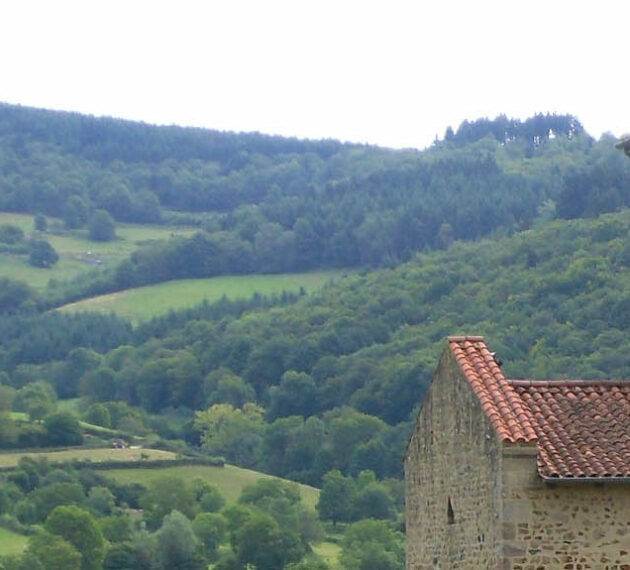 paysage du lyonnais