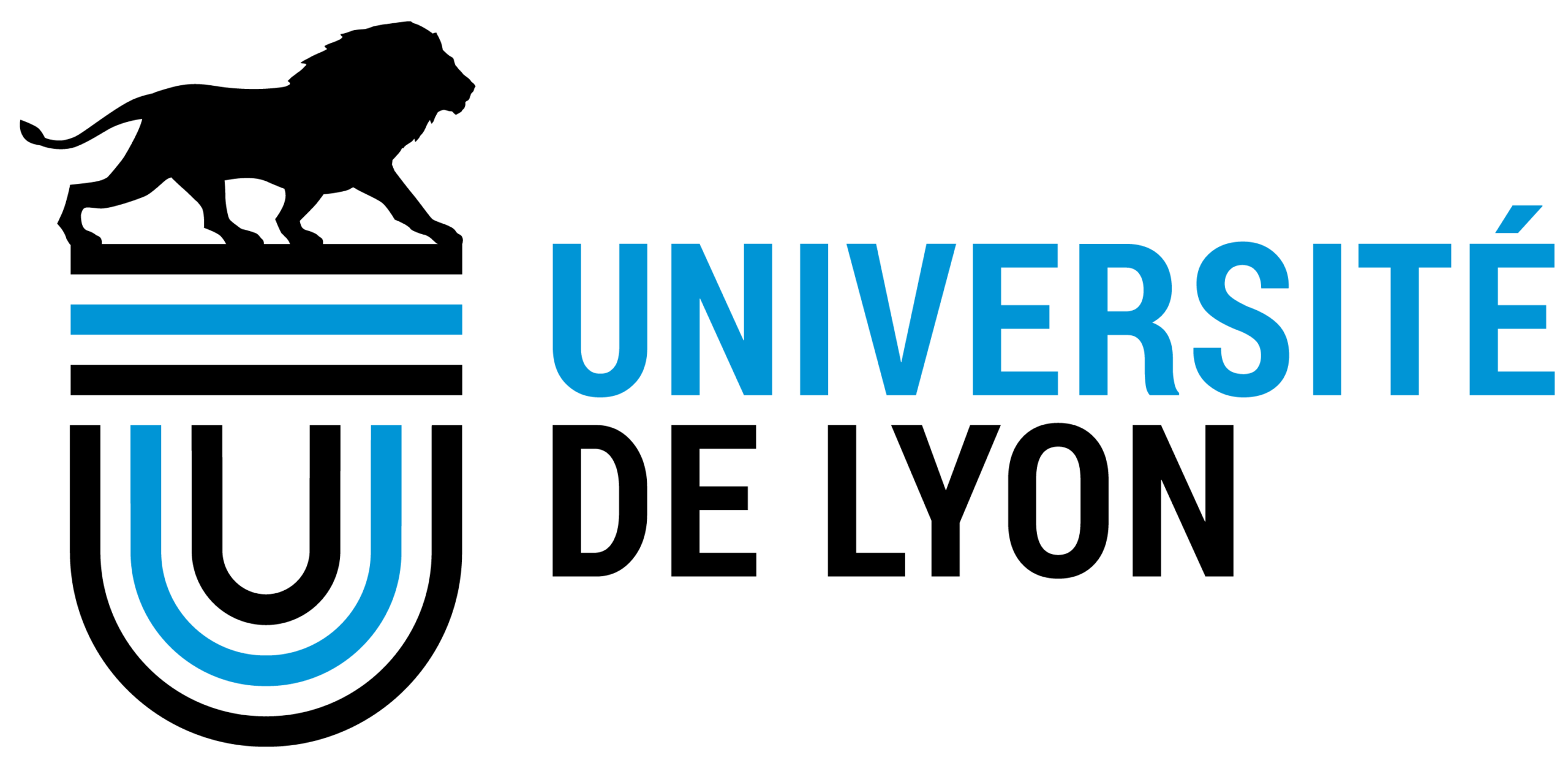 Logo Université de Lyon