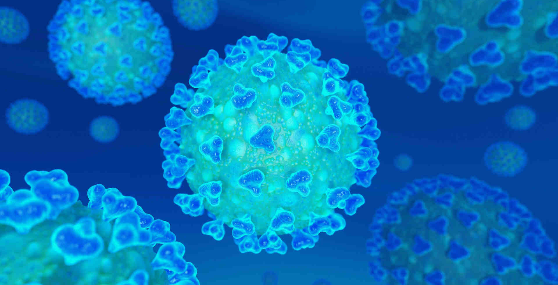 Coronavirus au microscope