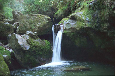 nature, cascade, sérénité