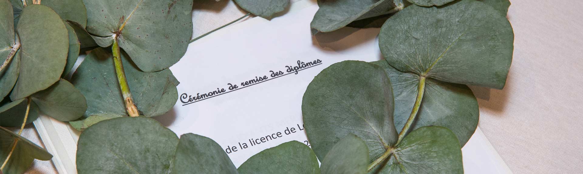 Remise des diplômes Lettres modernes
