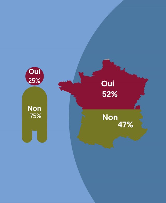 sondage vulnerabilités france