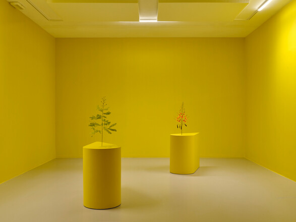 Vue d'exposition de Kapwani Kiwanga, The Marias, 2020. in the hours between dawns, Institut d’art contemporain, Villeurbanne, 2025.